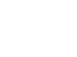 ViDi